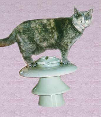 Hemingray on an insulator!
