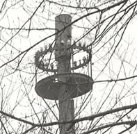Shorpy picture of insulators in user