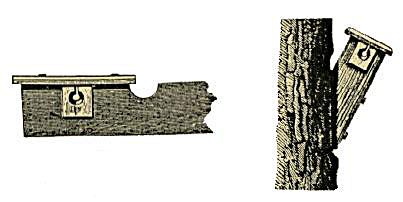 Glass Blocks - Cross Section Drawing