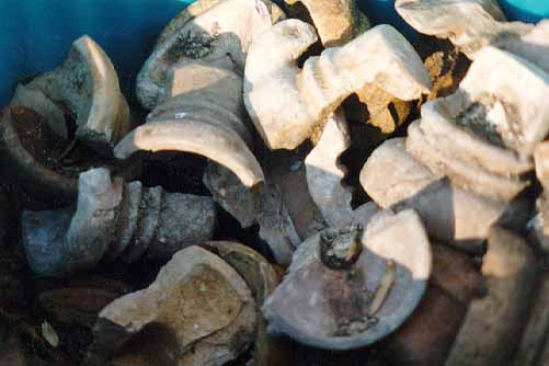 Unglazed terra cotta teapot shards.