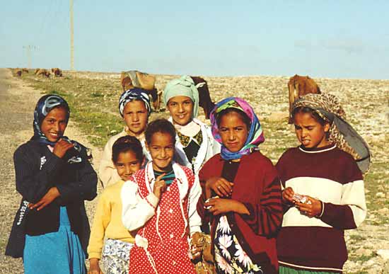 Girls (and Insulators) from Morocco