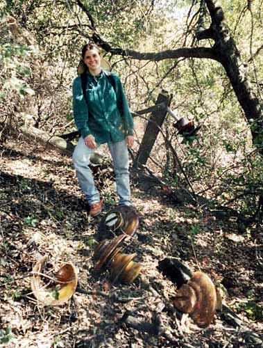 The "Mushroom Garden"