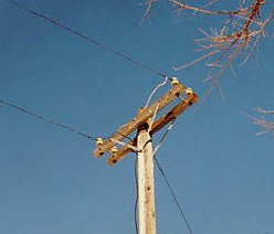 4 yellow U-503's on a pole